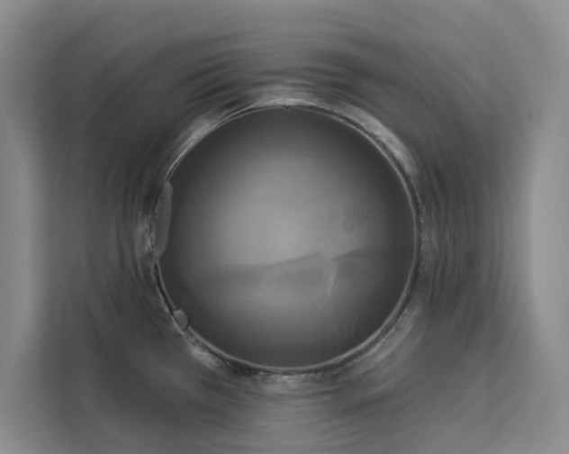 X0000113081385200908281214