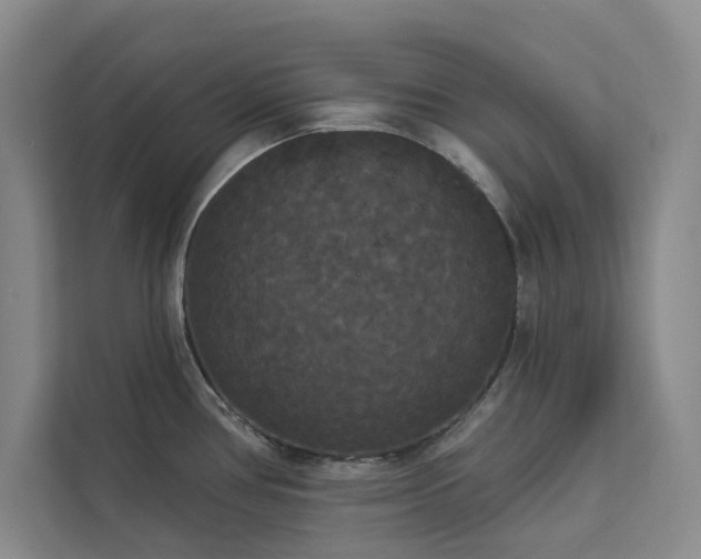 X0000113081386200908281214