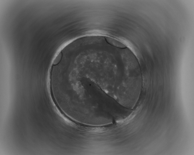 X0000113081387200908281214