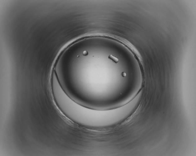 X0000113081388200908281214