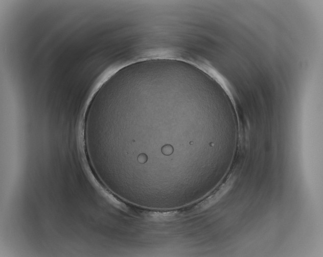 X0000113081389200908281214