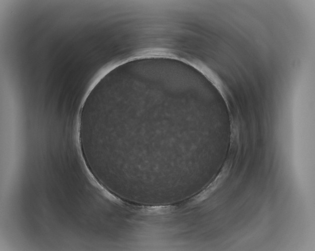 X0000113081390200908281214