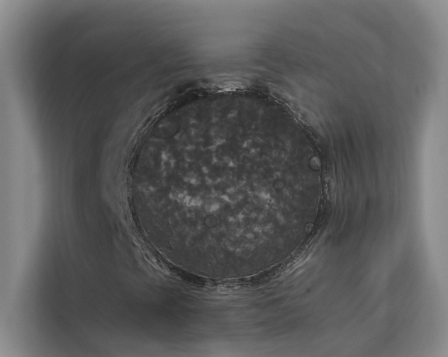 X0000113081393200908281214