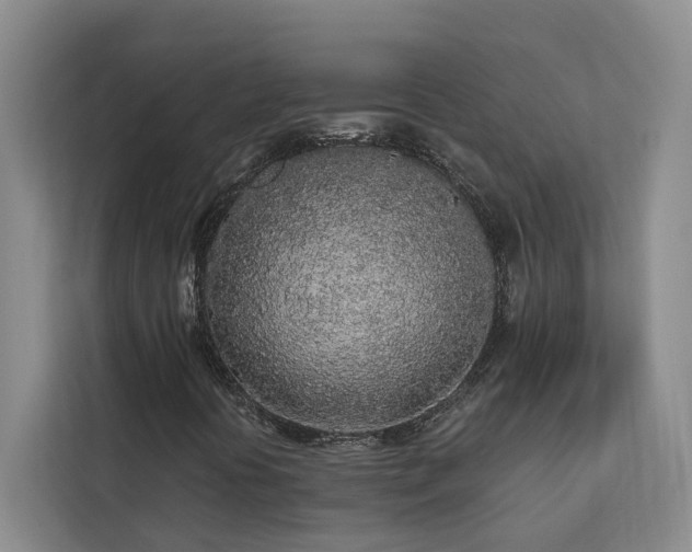 X0000113081394200908281214