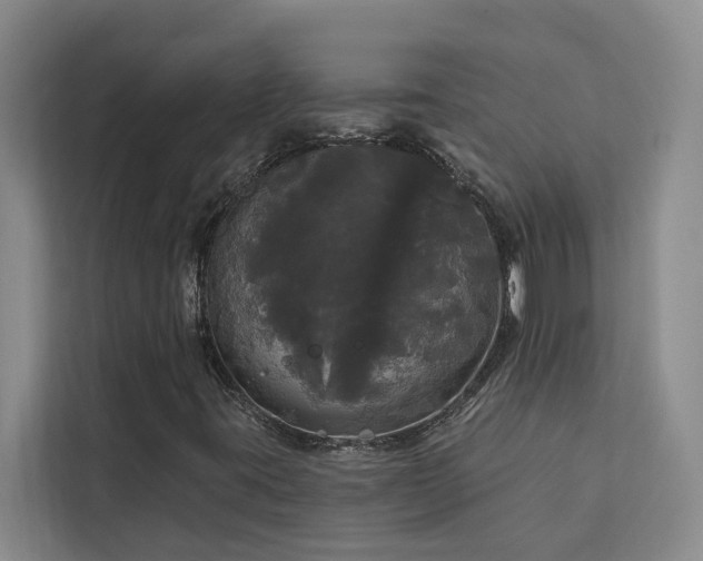 X0000113081395200908281214