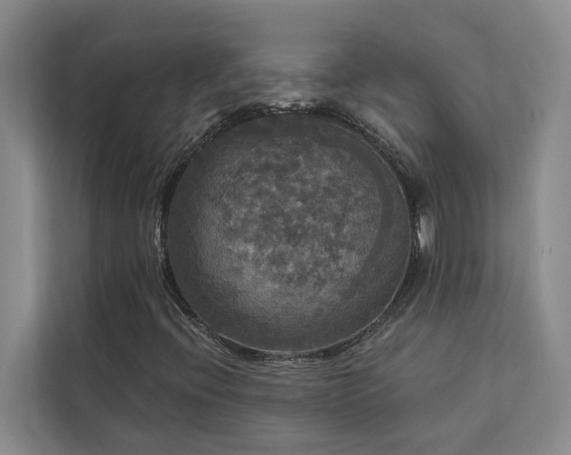 X0000113081396200908281214