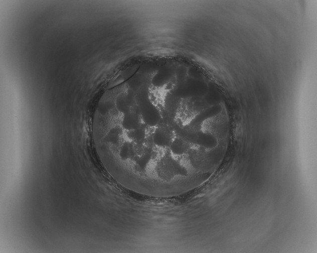 X0000113081397200908281214