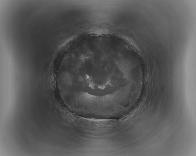 X0000113081398200908281214