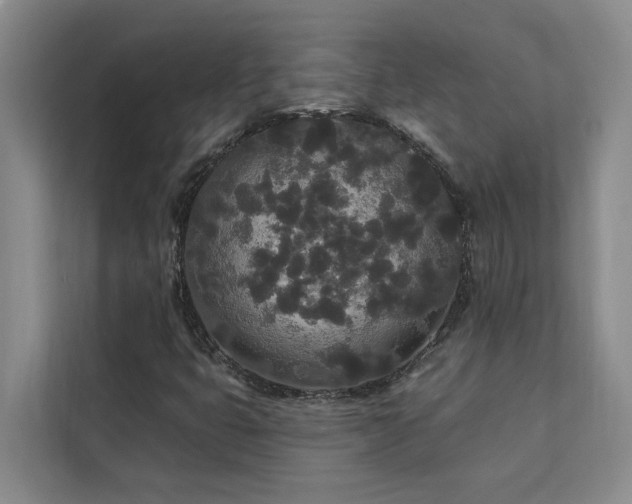 X0000113081399200908281214