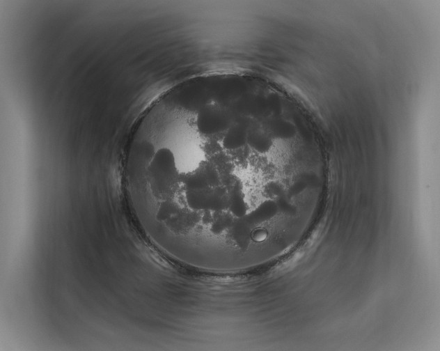 X0000113081401200908281214