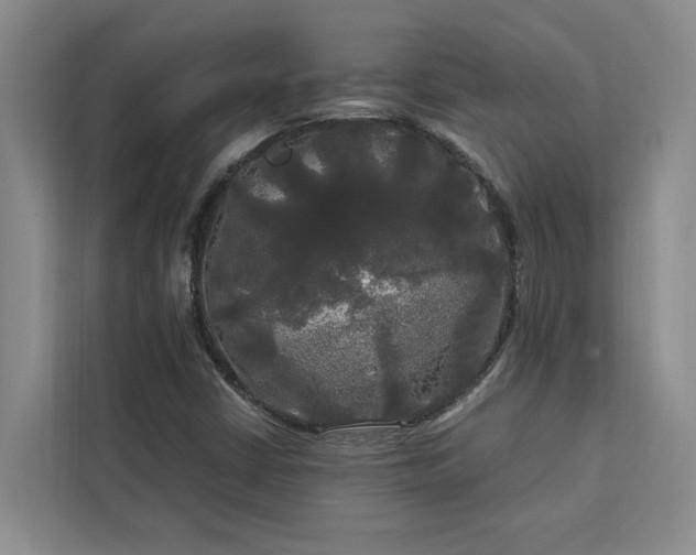 X0000113081402200908281214