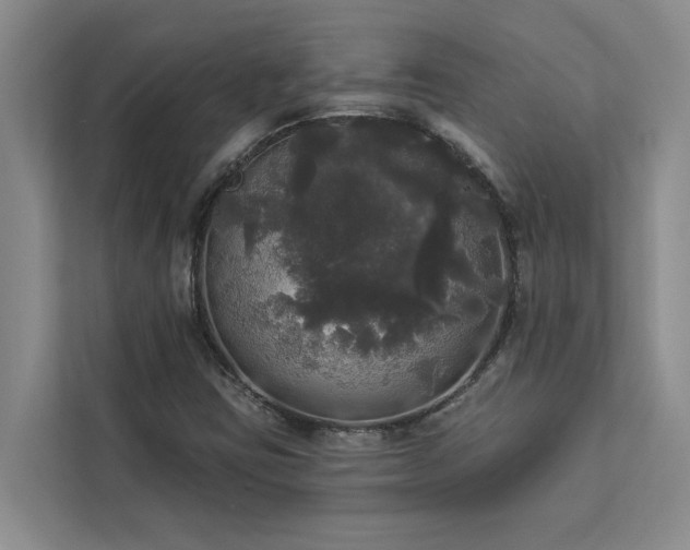 X0000113081403200908281214
