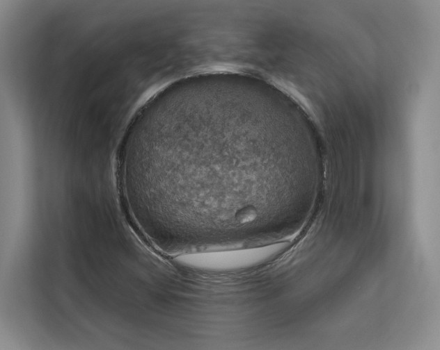 X0000113081404200908281214