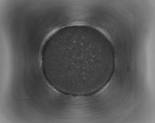 X0000113081406200908281214