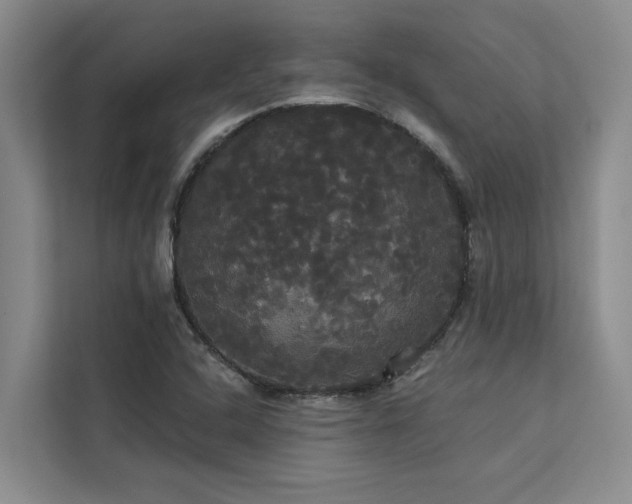 X0000113081408200908281214