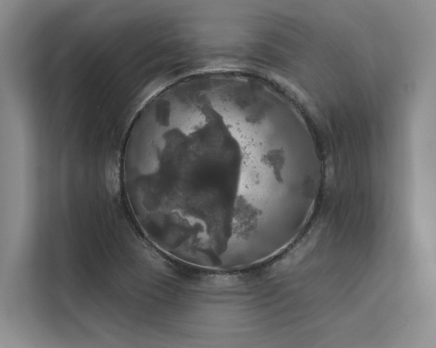 X0000113081409200908281214
