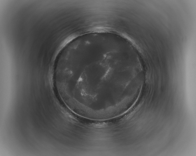 X0000113081410200908281214