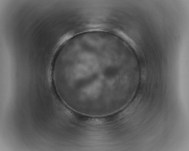 X0000113081411200908281214