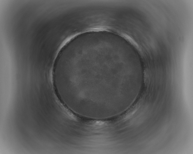 X0000113081412200908281214