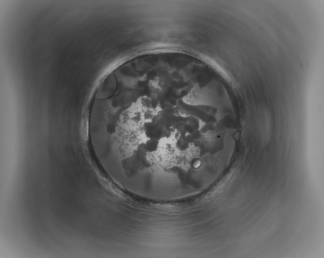 X0000113081413200908281214