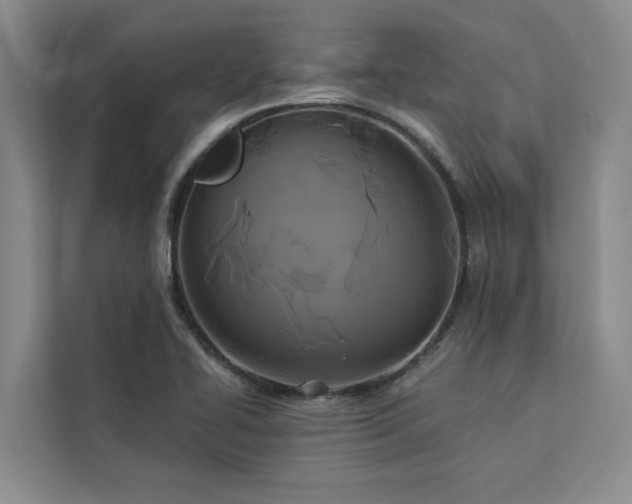 X0000113081414200908281214