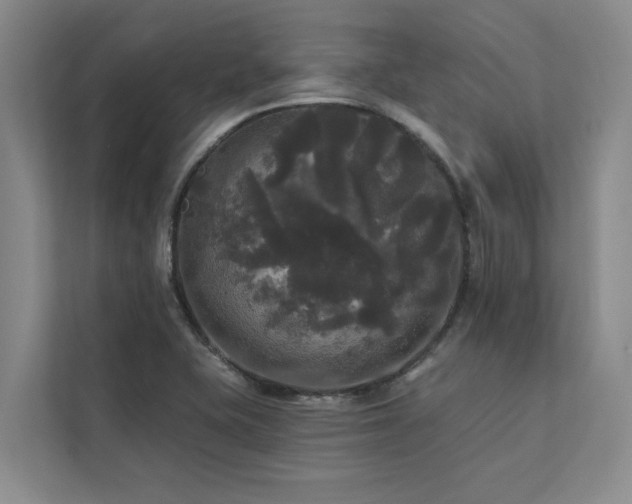 X0000113081415200908281214