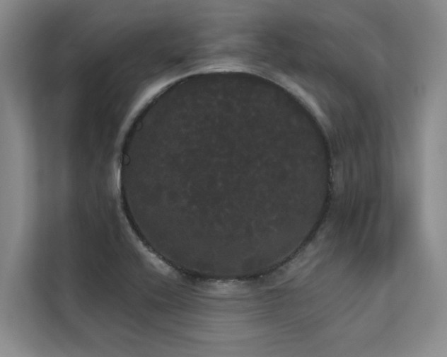 X0000113081416200908281214