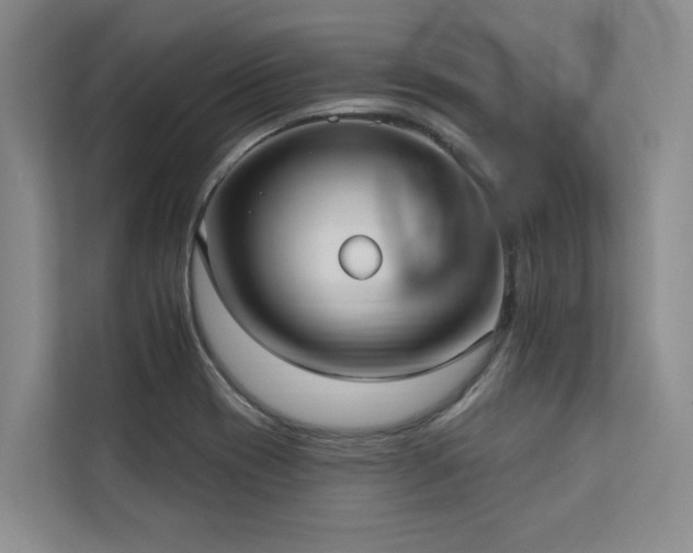 X0000113081417200908281214