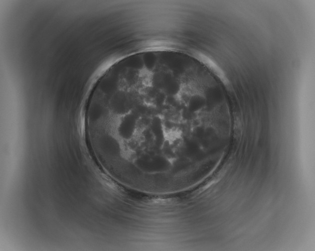 X0000113081419200908281214