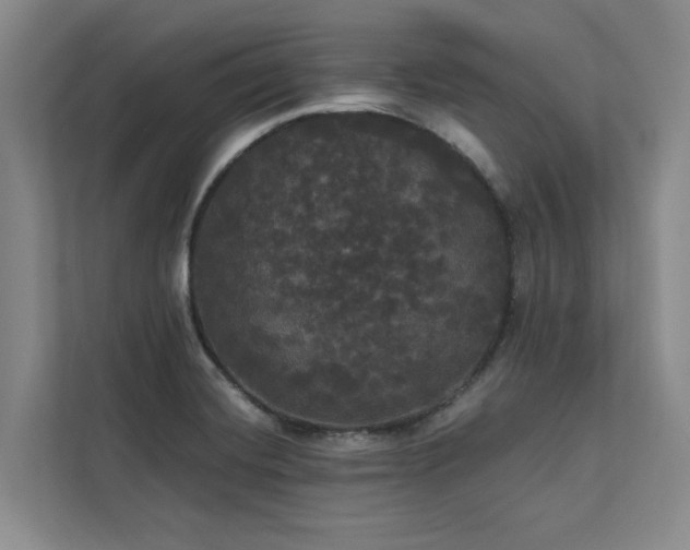 X0000113081420200908281214