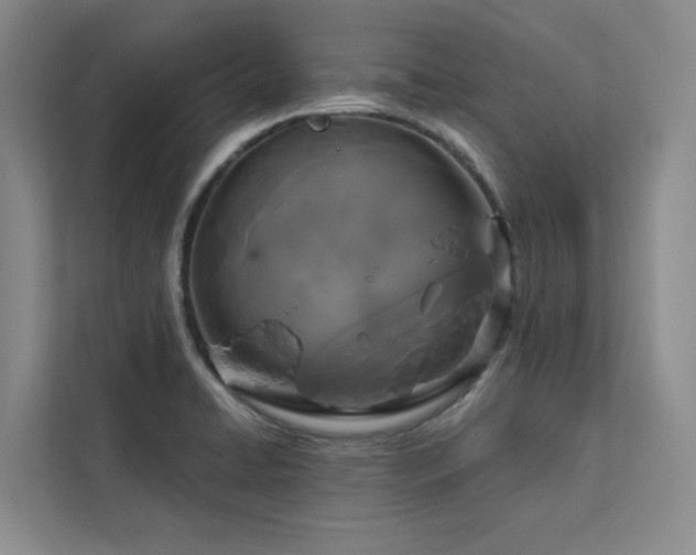 X0000113081422200908281214