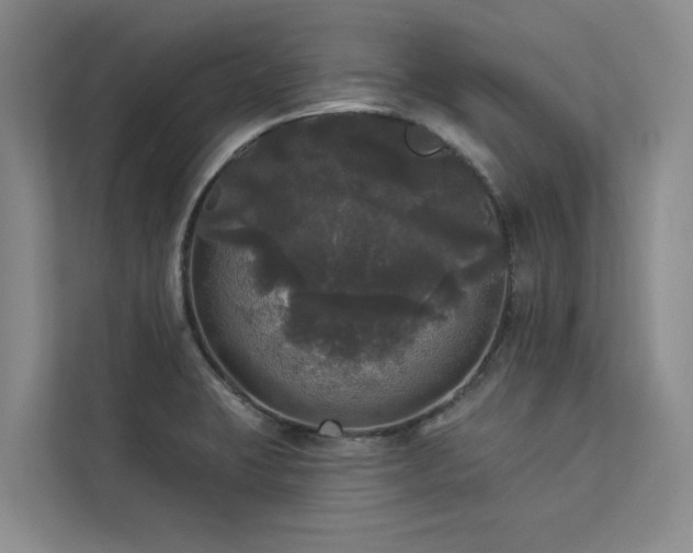 X0000113081423200908281214