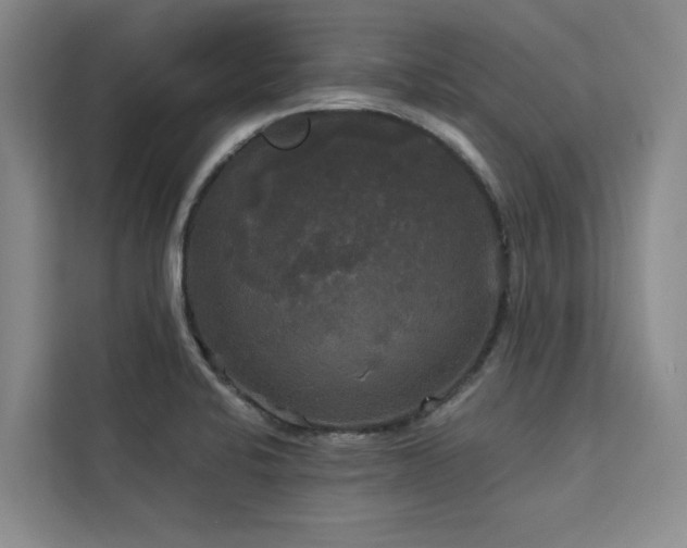 X0000113081424200908281214