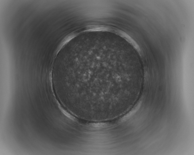 X0000113081425200908281214