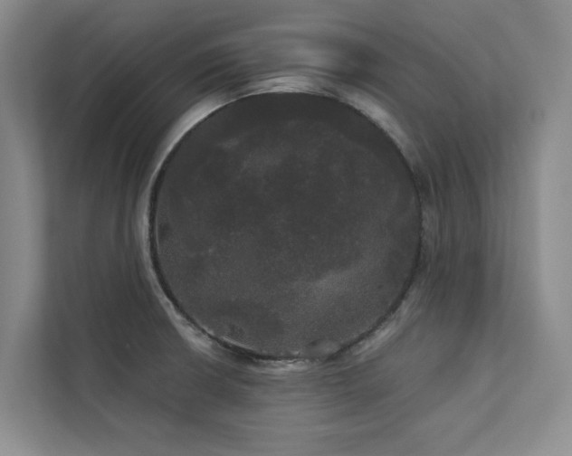 X0000113081426200908281214