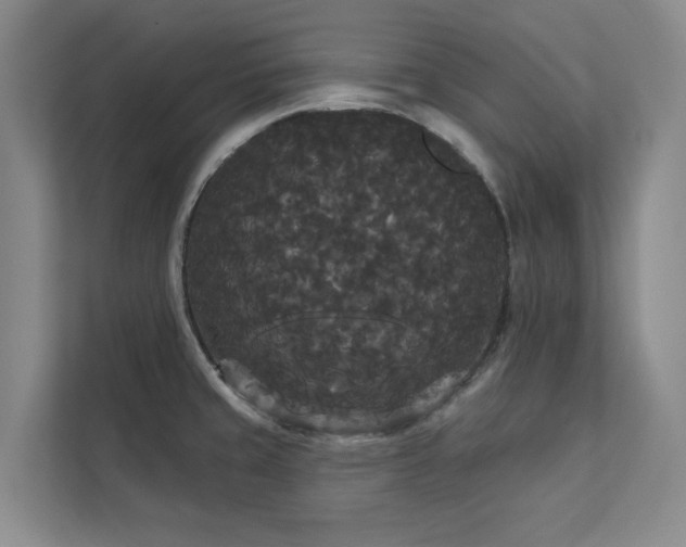 X0000113081429200908281214
