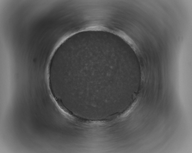 X0000113081430200908281214