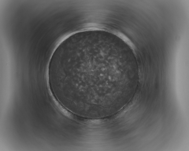 X0000113081431200908281214
