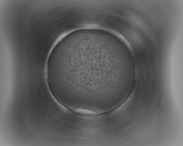 X0000113081432200908281214