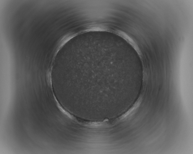 X0000113081433200908281214