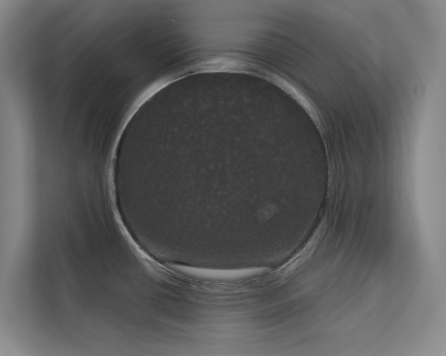 X0000113081434200908281214