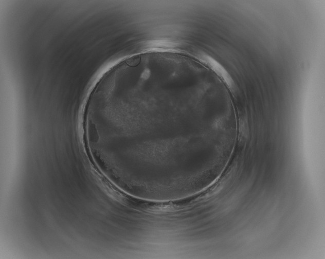 X0000113081435200908281214