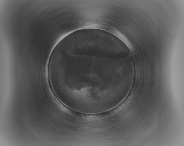 X0000113081436200908281214