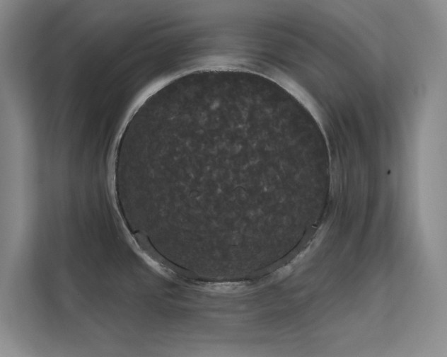 X0000113081437200908281214