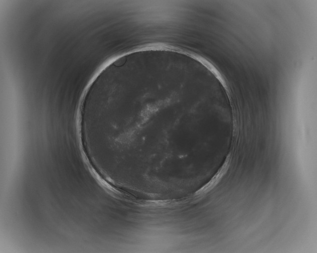 X0000113081438200908281214