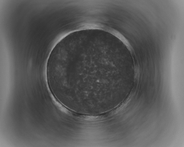 X0000113081439200908281214