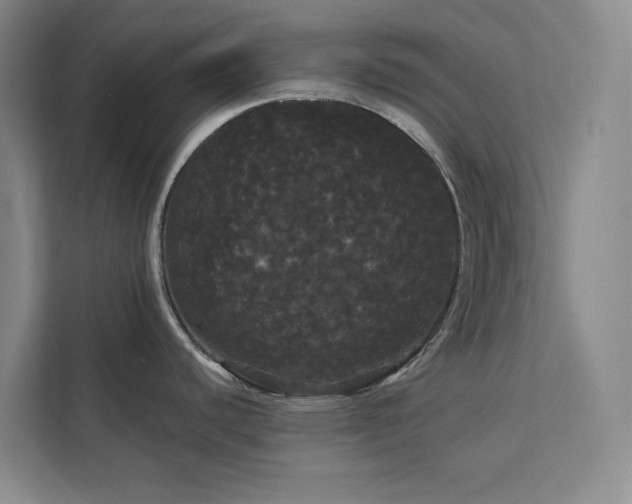 X0000113081440200908281214
