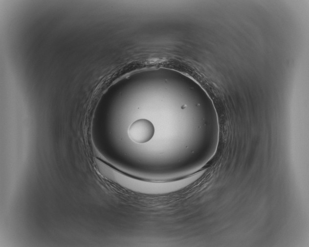 X0000113081441200908281214