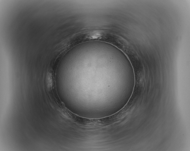 X0000113081442200908281214