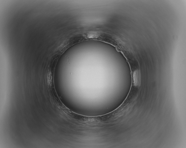 X0000113081443200908281214